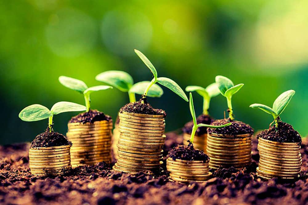 نظام اقتصادی متفاوت