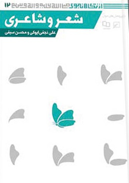 از نگاه نبوی(جلد۱۲): شعر و شاعری