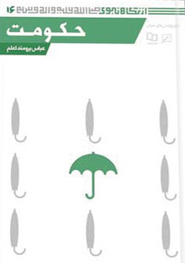 از نگاه نبوی(جلد۱۶): حکومت