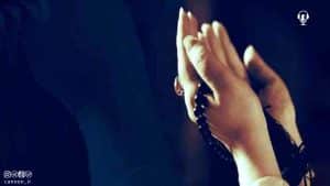 فصل وصل